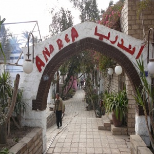 آندريا