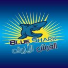 القرش الازرق