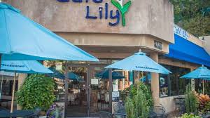 Lily 