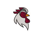 Chicken Man