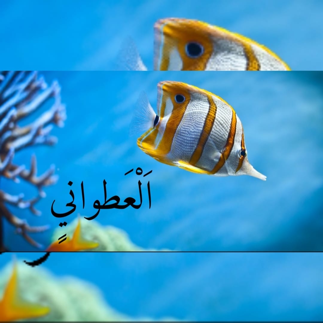 Atwani