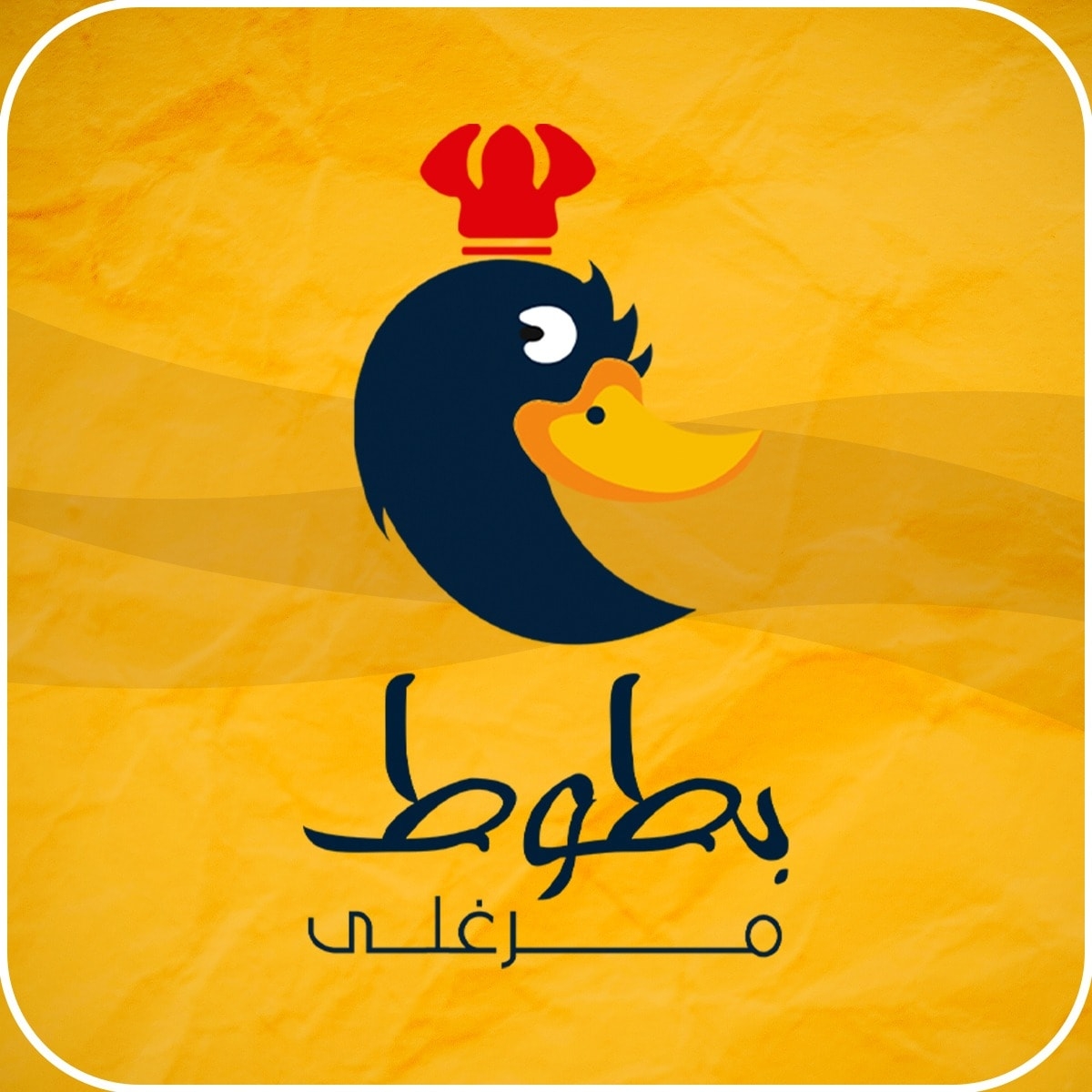 بطوط مرغلي