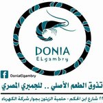 Donia Elgambry  