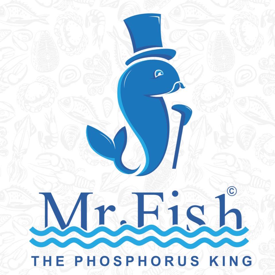Mr Fish