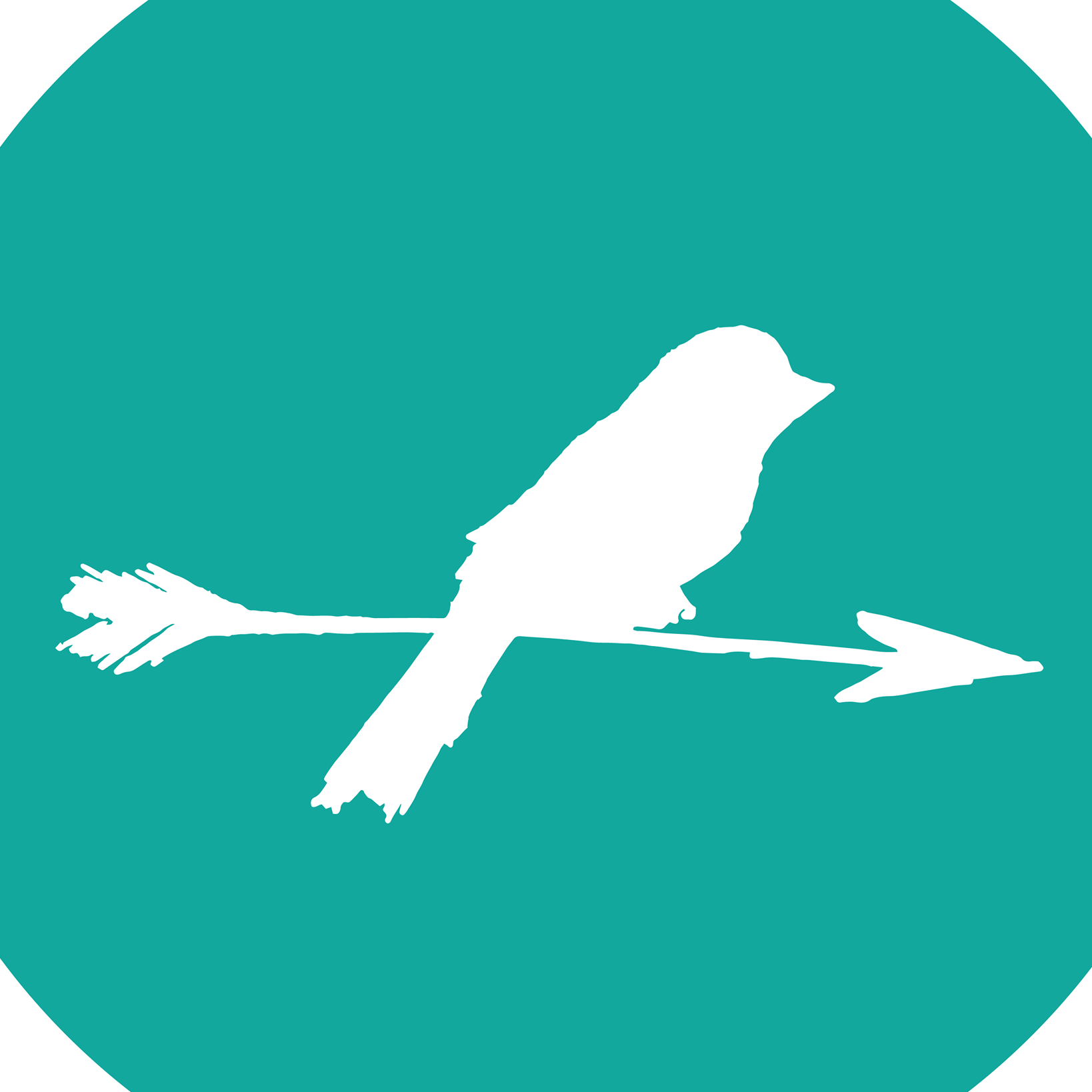 Arrows and Sparrows