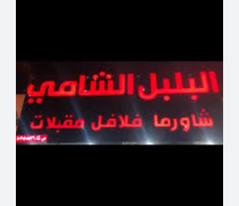  البلبل الشامي 